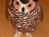 hontza-2011-1-10-020